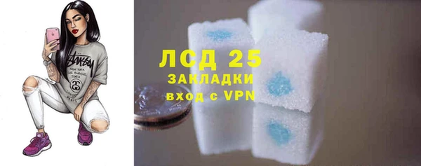стаф Осташков