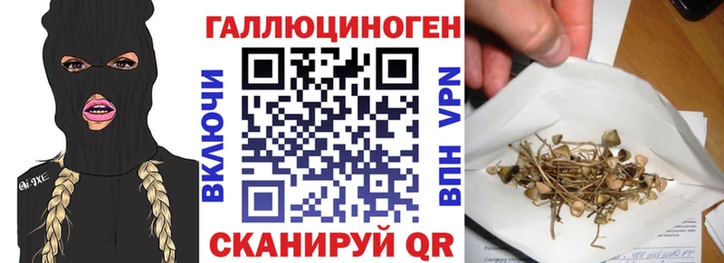 Купить где  Кемь  Псилоцибиновые грибы Magic Shrooms 